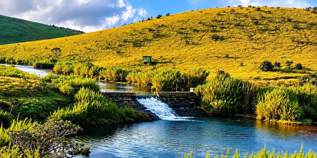 A stream flowing through golden grasslands in Horton Plains
