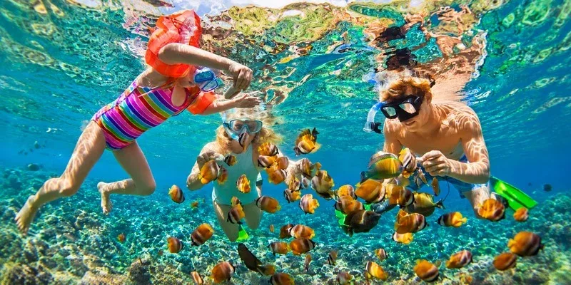 A family snorkelling among colourful tropical fish