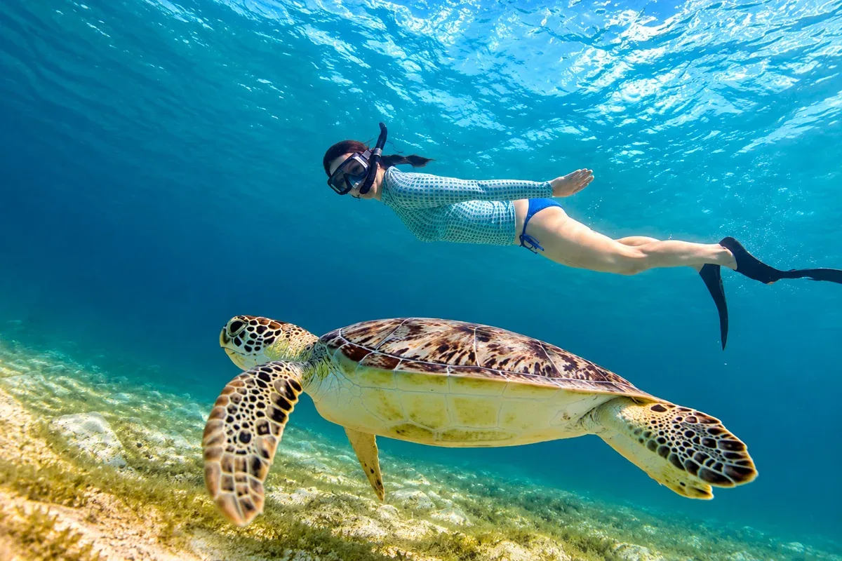 A snorkeller swimming above a sea turtle in clear blue water