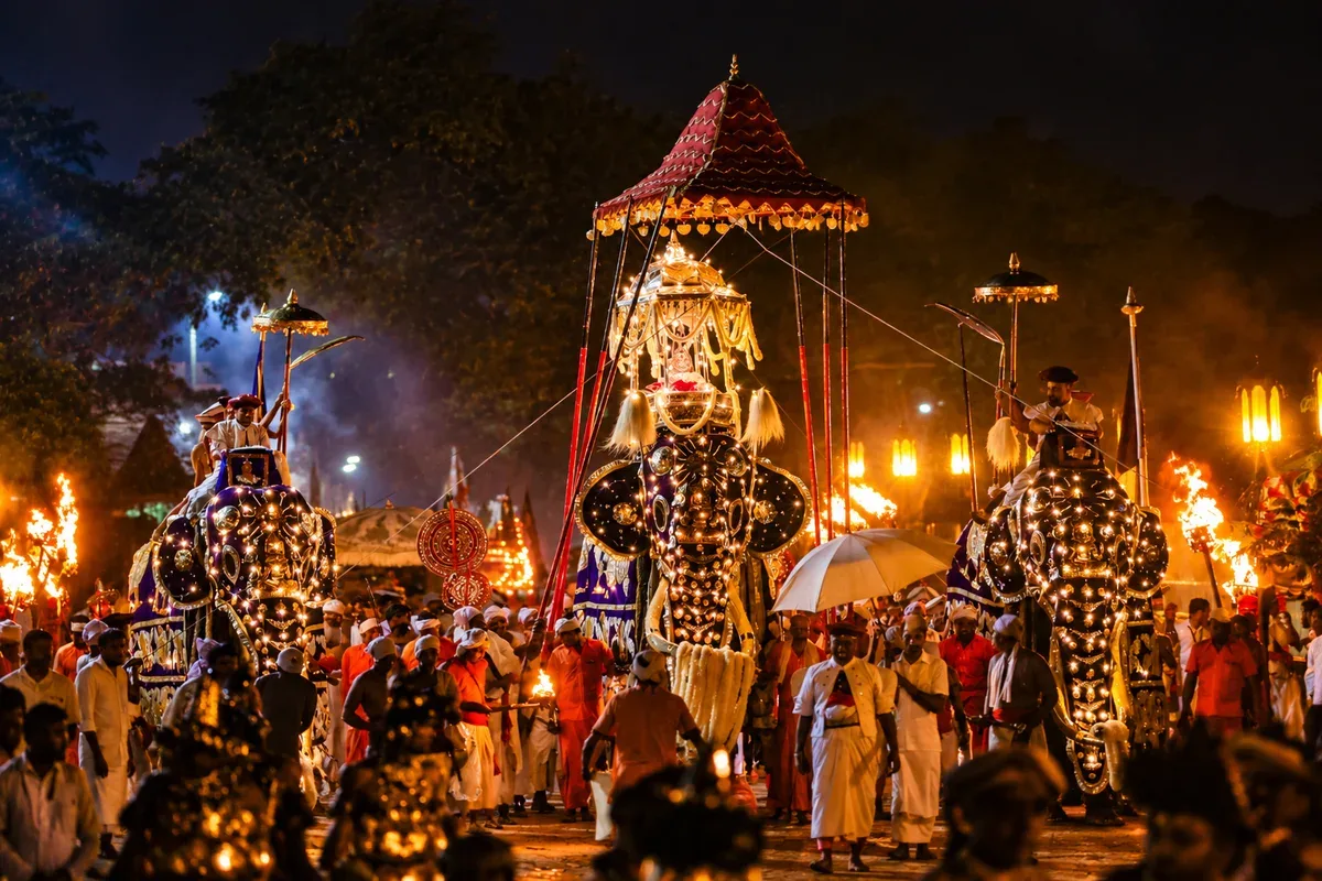 Decorated elephants and torchbearers in a night procession in Kandy